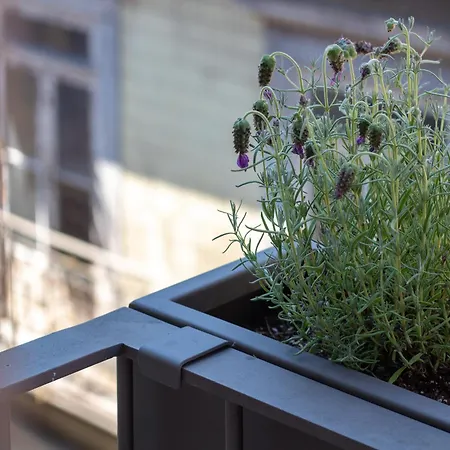 Almada 3d By Lovelystay * بورتو