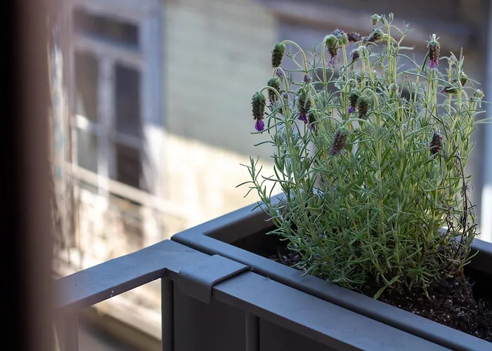 Almada 3d By Lovelystay * Πόρτο